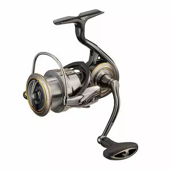 Daiwa 21 Rubias Airity LT3000-XH