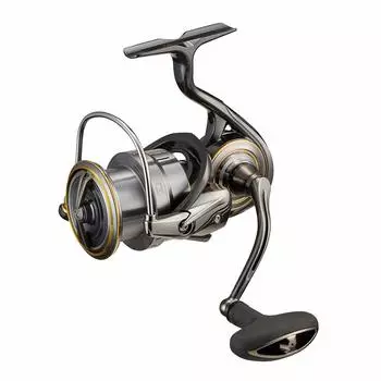 Daiwa 21 Rubias Airity LT4000-C
