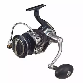 DAIWA 21 Сертификат SW 10000-H