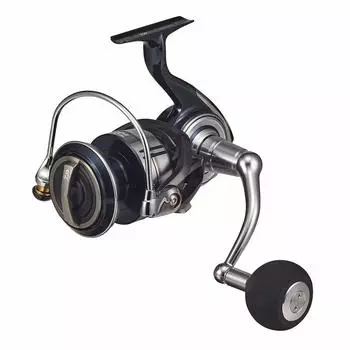 DAIWA 21 Сертификат SW 10000-P
