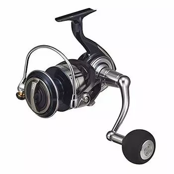 Daiwa 21 СЕРТИФИКАТ SW 10000-P