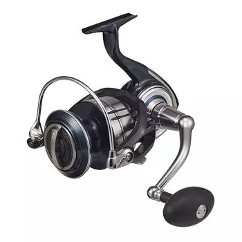 DAIWA 21 Сертификат SW 18000-H