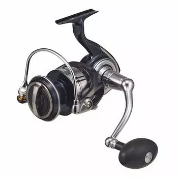 DAIWA 21 Сертификат SW 8000-H