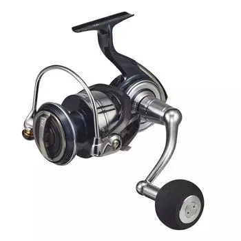 DAIWA 21 Сертификат SW 8000-P
