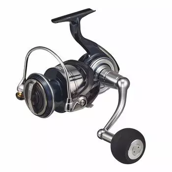 DAIWA 21 Сертификат SW 8000-P