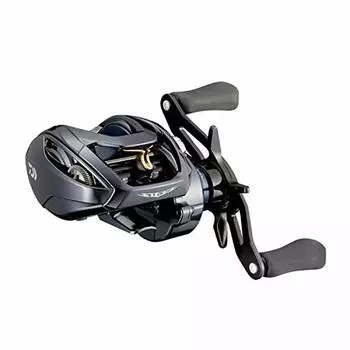 Daiwa 21 Steez A TW HLC 6.3L