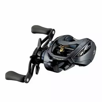 DAIWA 21 Steez A TW HLC 7.1R