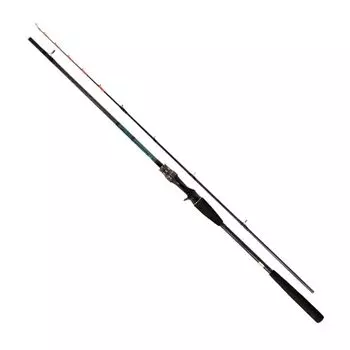 DAIWA Boat Rod Tenya Tachiuo X Fishing Rod 200/R