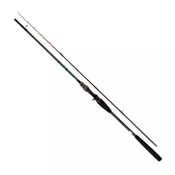 DAIWA Boat Rod Tenya Tachiuo X Fishing Rod 200/R