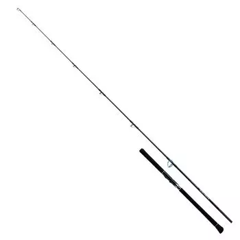 DAIWA Casting Rod SALTIGA BREAKTHROUGH C710-8