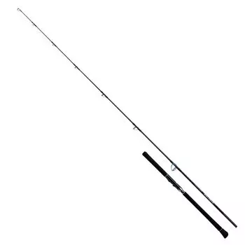DAIWA Casting Rod SALTIGA BREAKTHROUGH C80-5