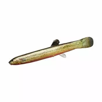 DAIWA Comfortable Real Loach Worm 105mm Red Belly Loach