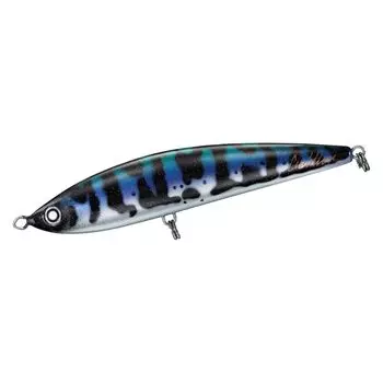 DAIWA Diving Pencil Saltiga Cuddler 185F Asian