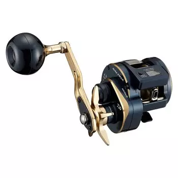 DAIWA Jigging 21 Saltiga IC 300 чёрный