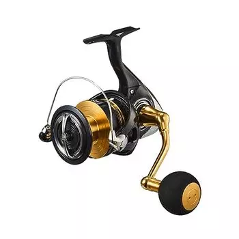 Daiwa LT6000D-H Spinning Reel, 23 Legalis