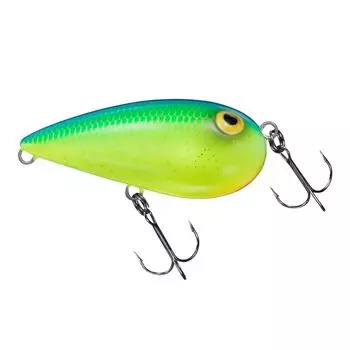 DAIWA Lure Almond Blue Back Chart
