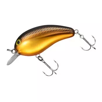 DAIWA Peanut SSR Kurokin 50mm