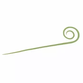 DAIWA Reel Case Beniga Silicone Tie Nakai Tune STC Slim Seaweed Green