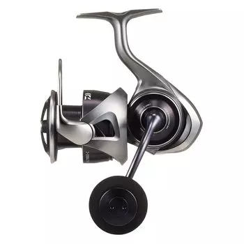 DAIWA spinning reel 25CALDIA LT5000-C серебряный