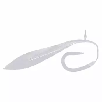 DAIWA Tairaba Beniga Nakai Noresole 12 inch Keimura Clear Lure
