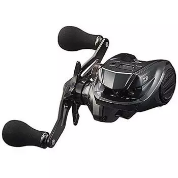DAIWA Tierra IC 100H