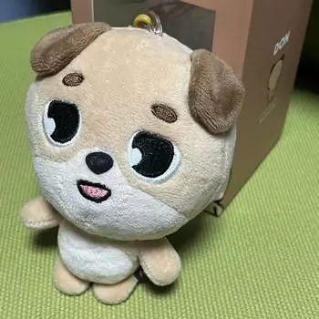 Day6 Denimals 18 Money