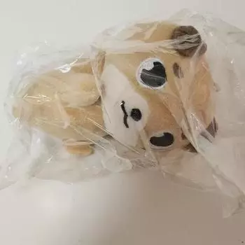 Day6 Denimals Money Hand Warmer Hand Warmer Below Cost