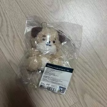 Day6 Doll Seated Money