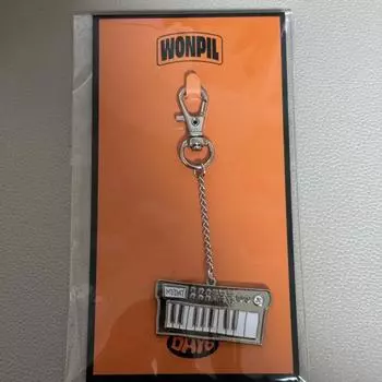 Day6 Instrument Keyring Wonpil