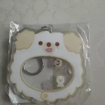 DAY6 Официальный MD для фан-встречи Fan Fanmeeting Брелок-шейкер Petitmle s Дон