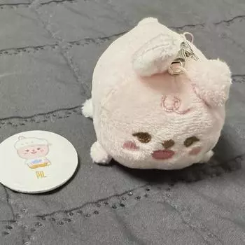 Day6 Petit Mules Four-legged Wonpil