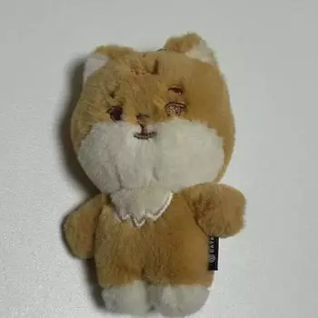 DAY6 Пти Мерцке