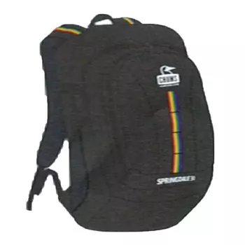 Day Pack Spring Dale 30 Black Rainbow [Chums] Men s