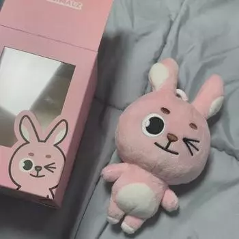 Day6 Denimals 19 Pilki Wink Pilki