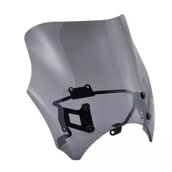 Daytona Rebel Screen Blast Barrier Smoke 24477 250/500 (20-21) дым