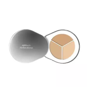 DEAR.A Perfect Cover Concealer Palette 1.3g*3шт