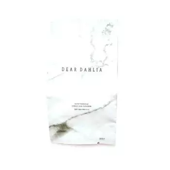 Dear dahlia Skin Paradise Прозрачный шелковый кушон, нет. 21 сменный блок, 8 г, 1 шт.