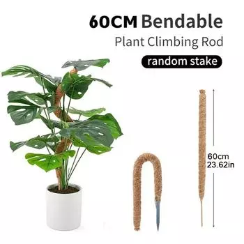 Деформируемый лес для растений Полезные вещи для сада Аксессуары для растений Уличные декорации Подставка для поддержки в помещении Репетиторы Главная