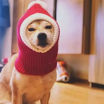 Декор для маленьких средних и больших собак теплая рождественская шапка для собак шапка для собак и кошек аксессуары для собак косплей для домашних животных S красный