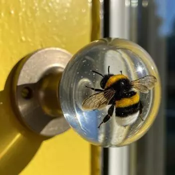 Декоративная дверная ручка, высокая прочность, простая установка, вдохновленная природой, прозрачная дверная ручка для шкафа F