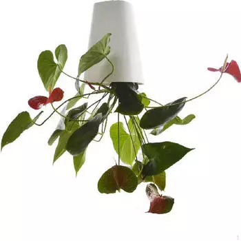 Декоративная подвесная корзина для перевернутой экспозиции растений белый