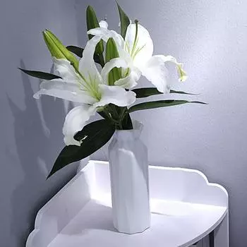 Декоративная ваза для цветов Ваза для растений Минималистичный компактный домашний декор в скандинавском стиле A синий