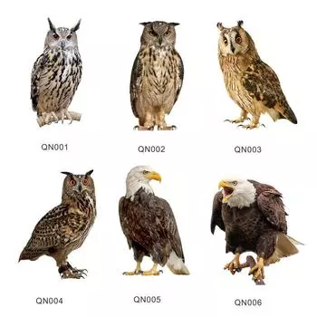 Декоративные совы и орлы, подвесные украшения для сада и дома QN001, 2 bells, 60cm hemp rope, 60cm laser ribbon