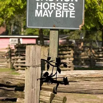 Delightful Swing Elf Metal Art - Steel Silhouette for Home, Garden, Yard, and Patio. Perfect for Birthday Celebrations Outdoors бежевый