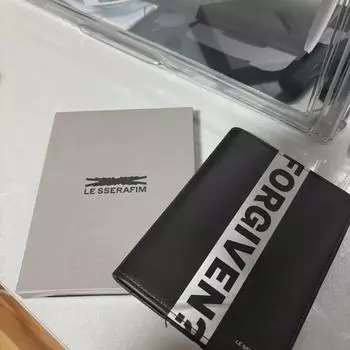 Дело о паспорте Le Seraphim