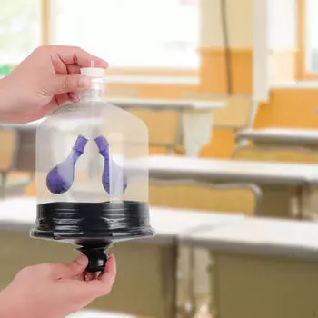 Демонстрационная модель легких Учебные материалы DIY Проекты Наука Обучение Дыхание