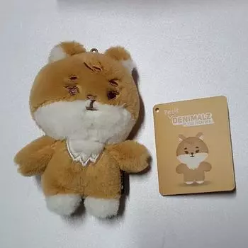 День6 Пети Мерцке