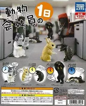 День из жизни офисного работника по работе с животными. Набор из 5 видов -