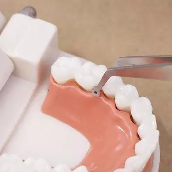 Dentist Matrix Holder Clamp Placement Tweezer With Holes Dental Sectional Matrix Contoured Dental Stainless Steel Material Tools one size