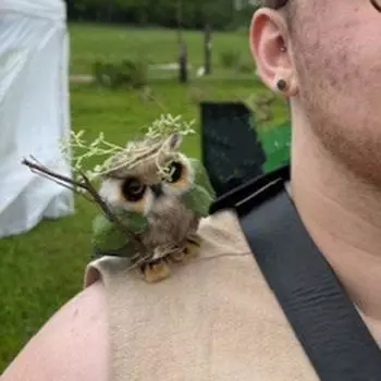 Деревянная фигурка совы Yousheng, мини-магнитная плюшевая статуэтка совы, дикой природы, птицы, животного для детей, рождественский подарок на День благодарения E